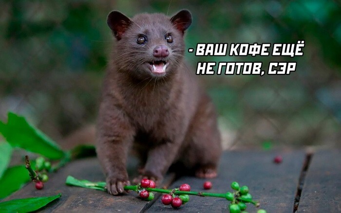 Скрины из соцсетей&nbsp;&nbsp;&nbsp;&nbsp;&nbsp;&nbsp;&nbsp;&nbsp;&nbsp;&nbsp;&nbsp;&nbsp;