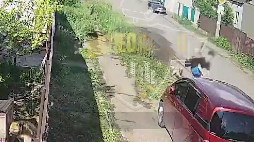 В Башкирии подросток, пытаясь спастись от собаки, повредил машину