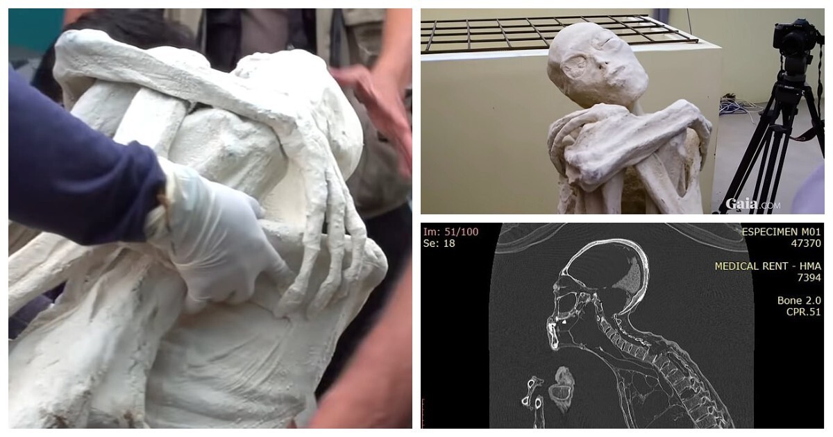 Трёхпалые «мумии пришельцев» из Перу вновь озадачили учёных