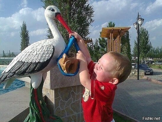 - Отдай