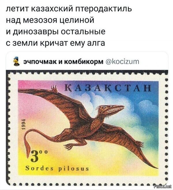 Солянка