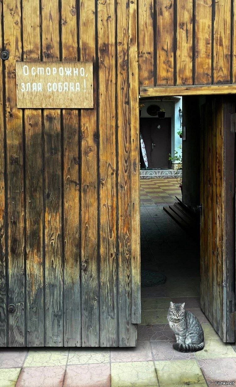 (с) фотография Вики Бесоловой