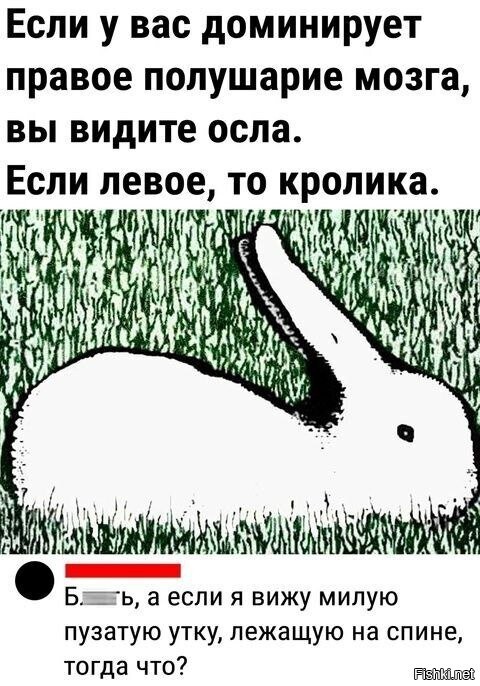 Еле осла увидел
