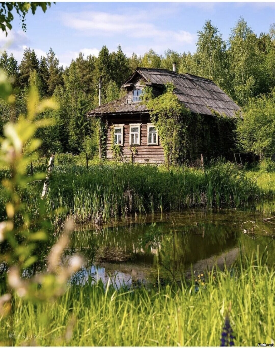 Солянка