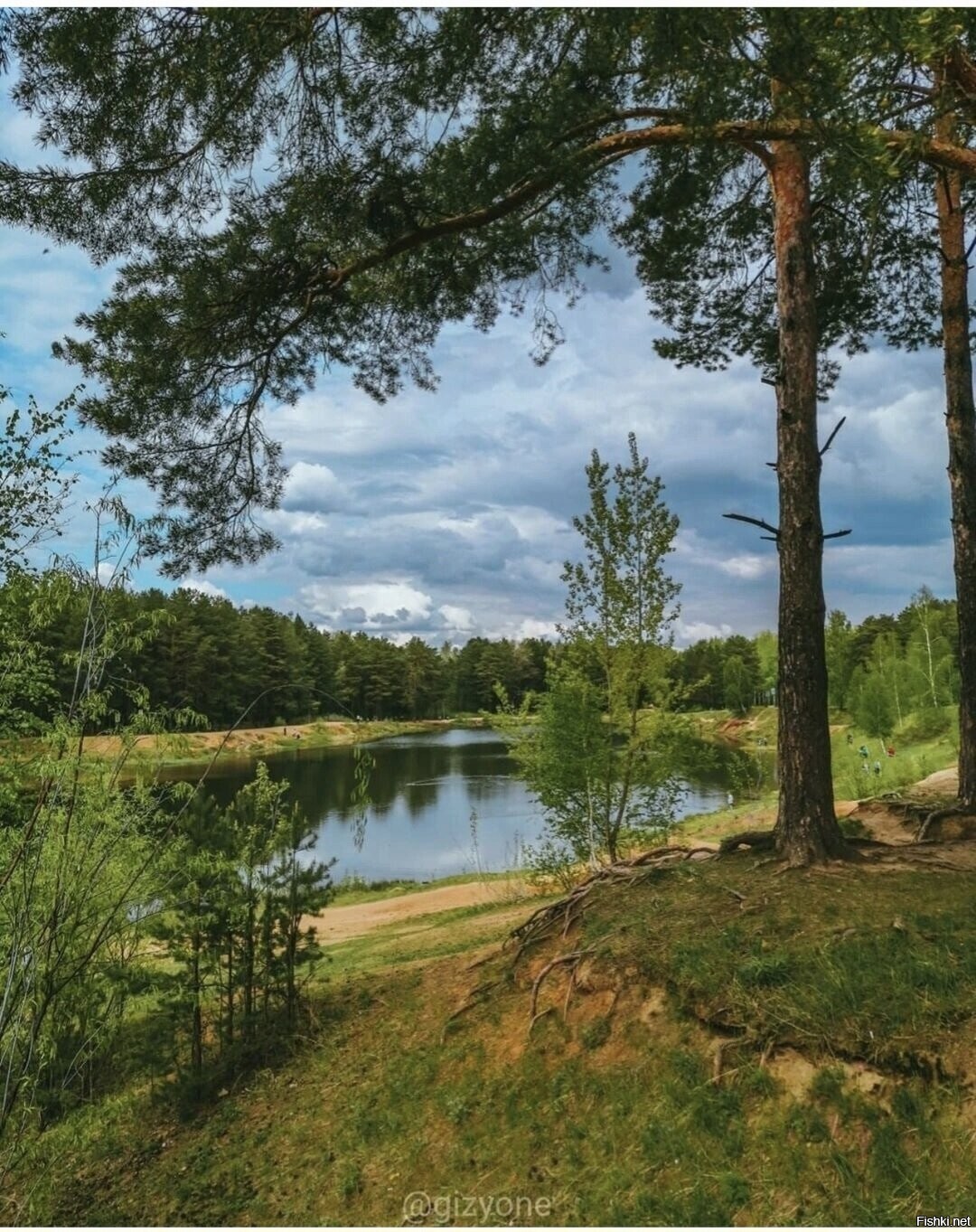 Солянка