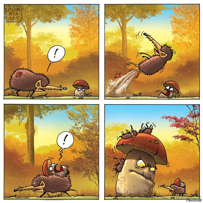 Солянка