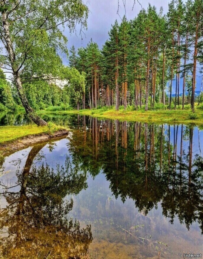 Солянка