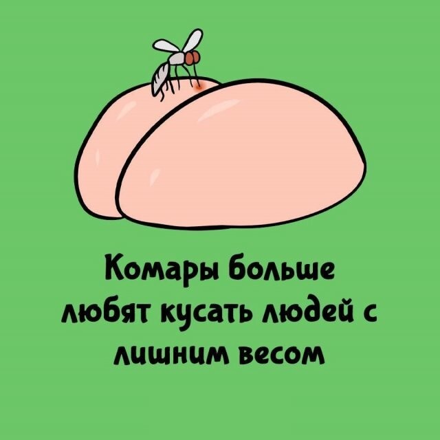 А вдруг ты не знал…