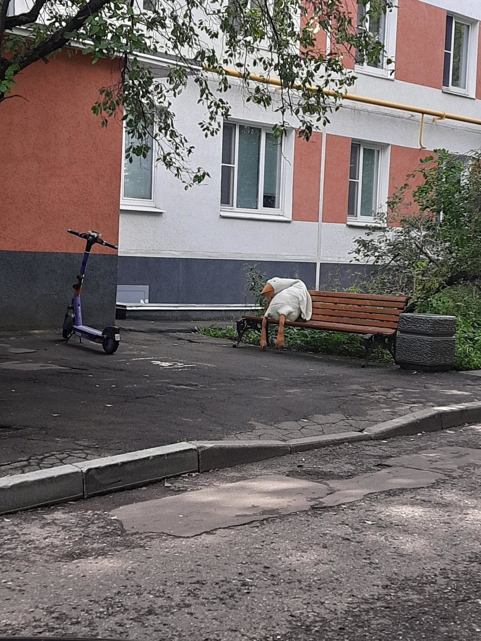 Солянка