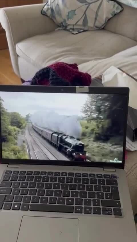 Идеальная озвучка