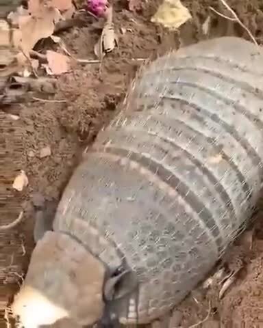 Неожиданно