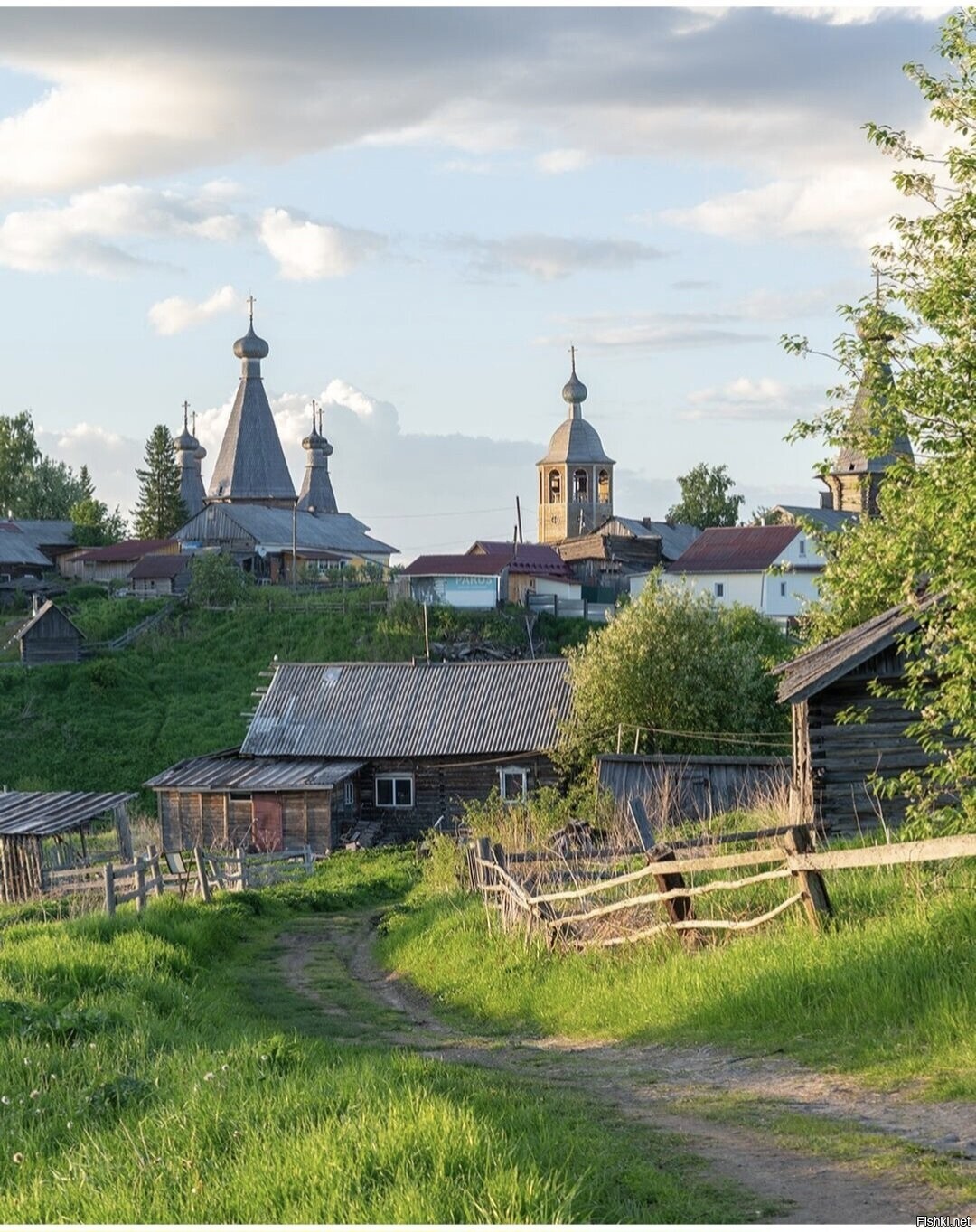 Солянка