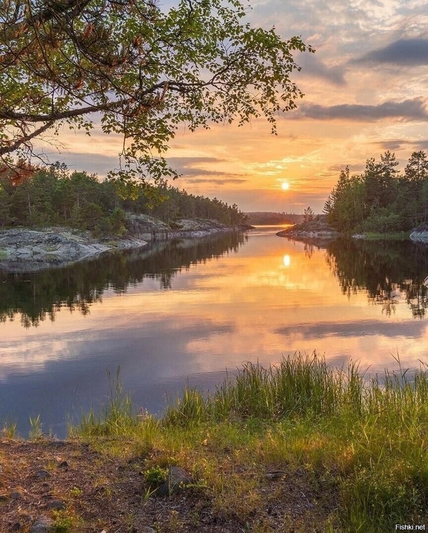 Солянка