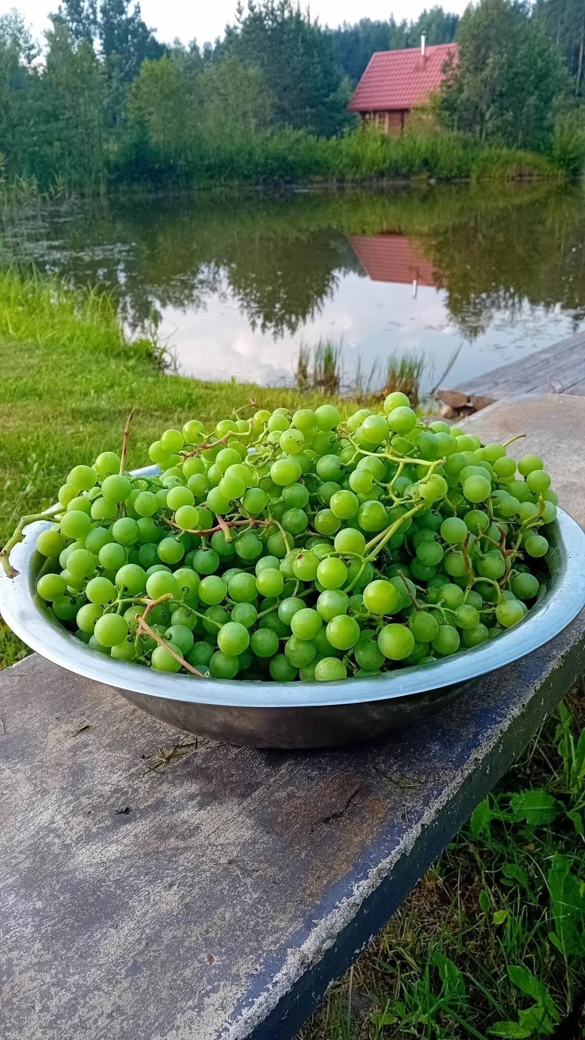 Сельский час