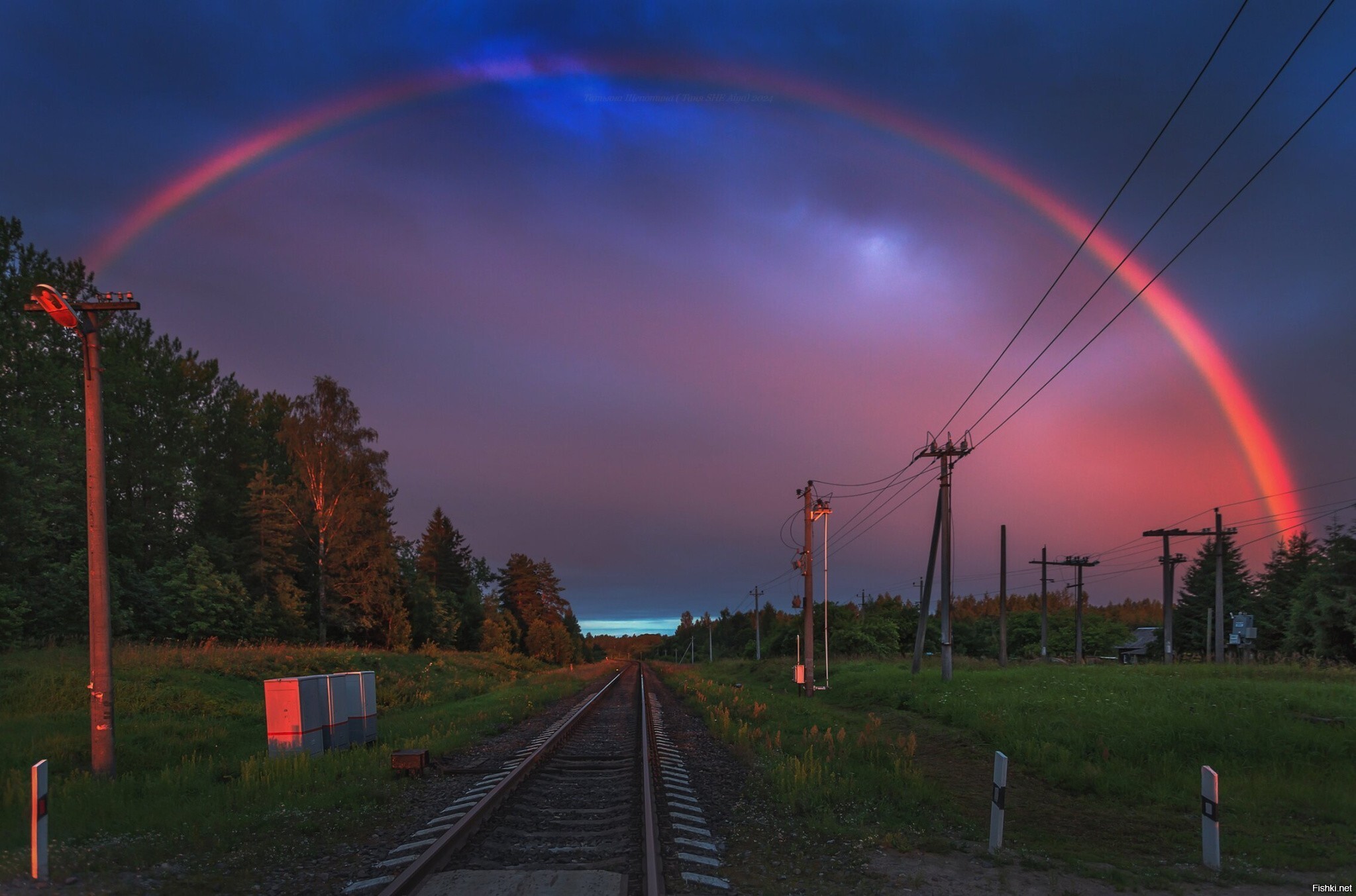 Солянка