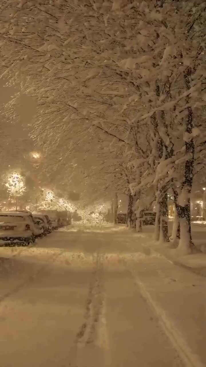Через 100 дней