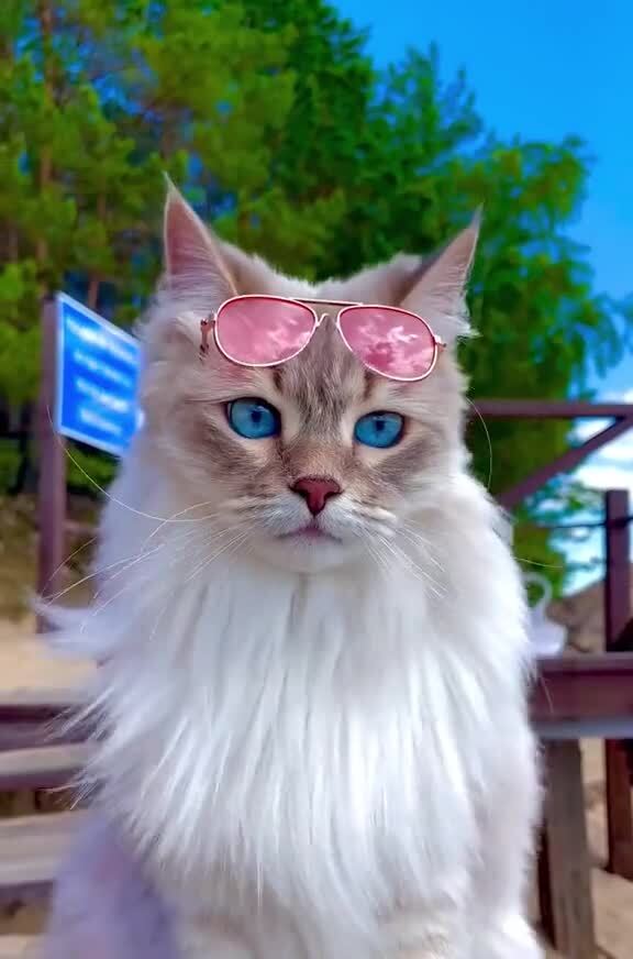 Неотразимость выглядит так