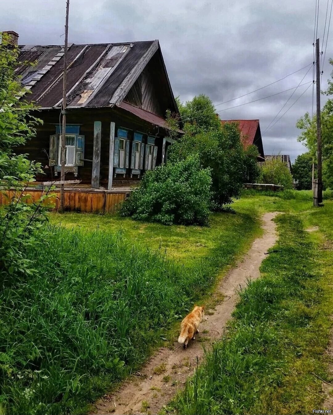 Солянка