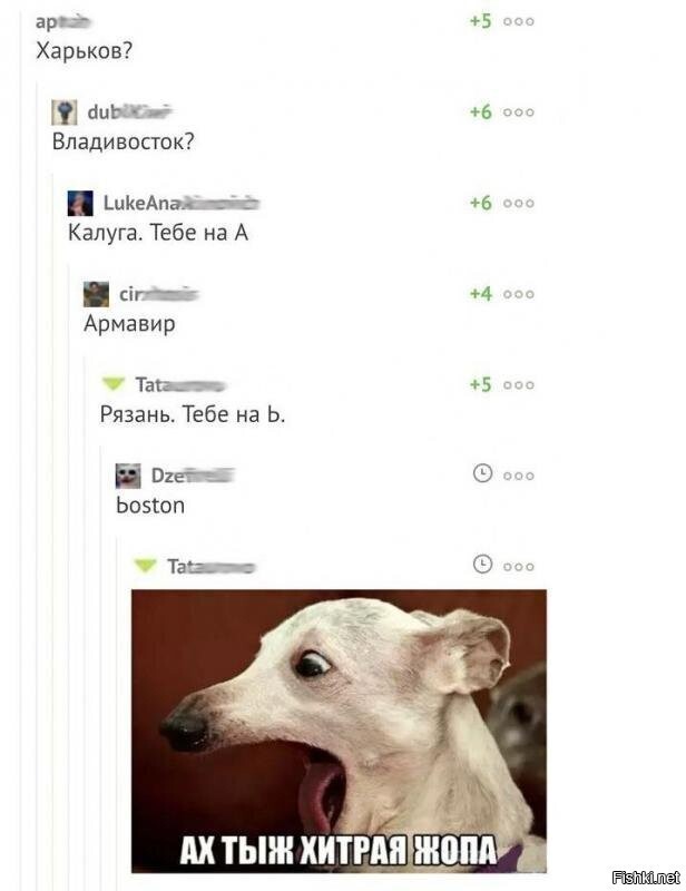 Солянка
