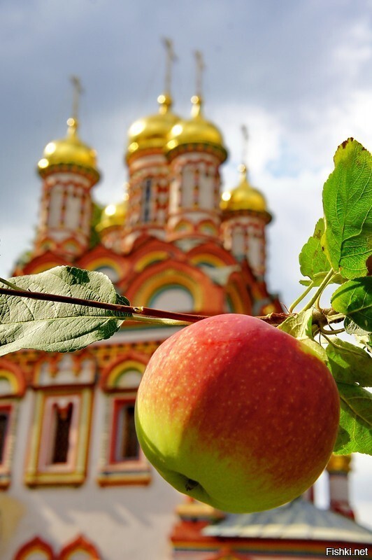 Солянка