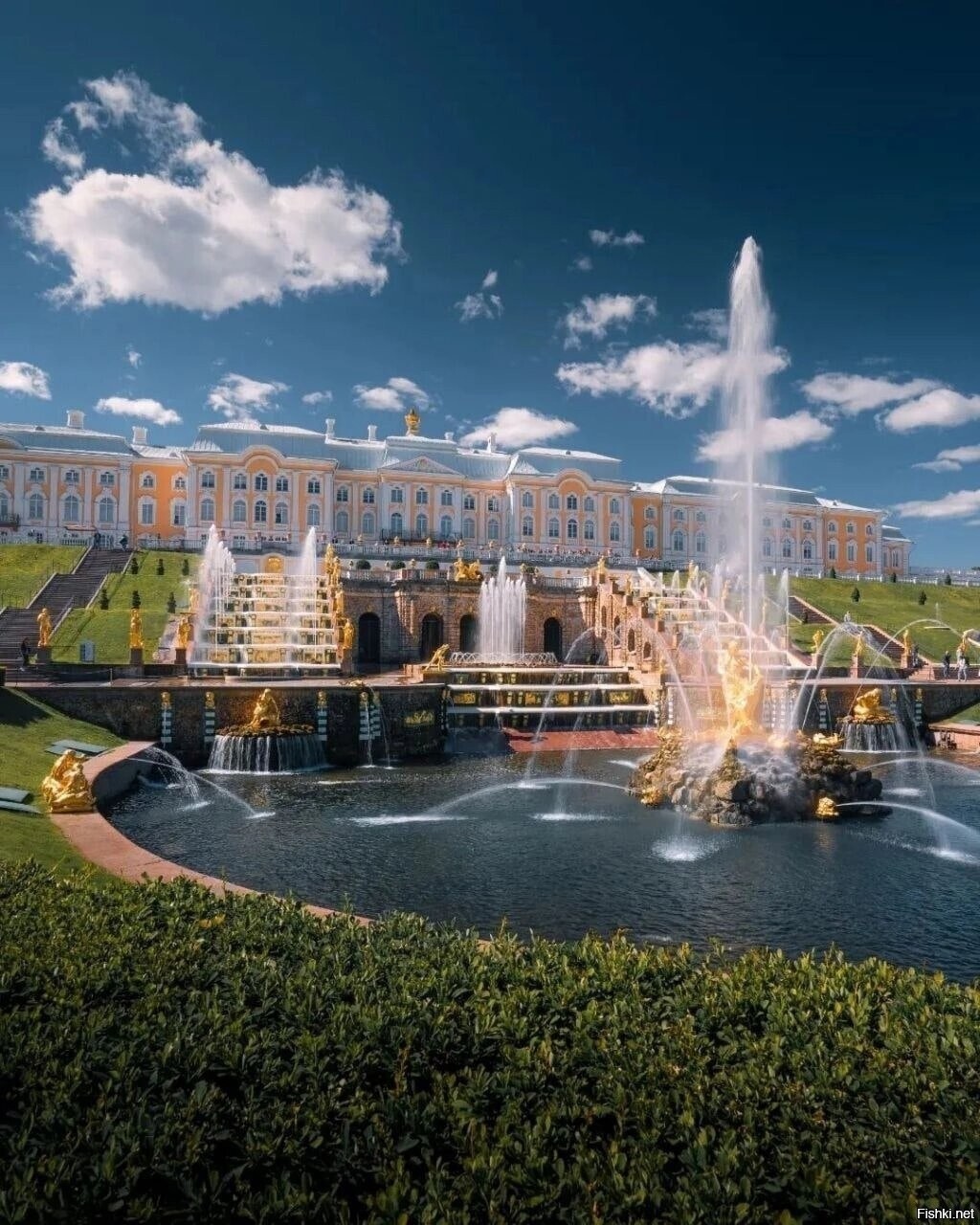 Солянка