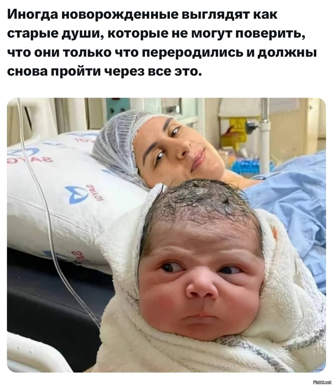 Шо