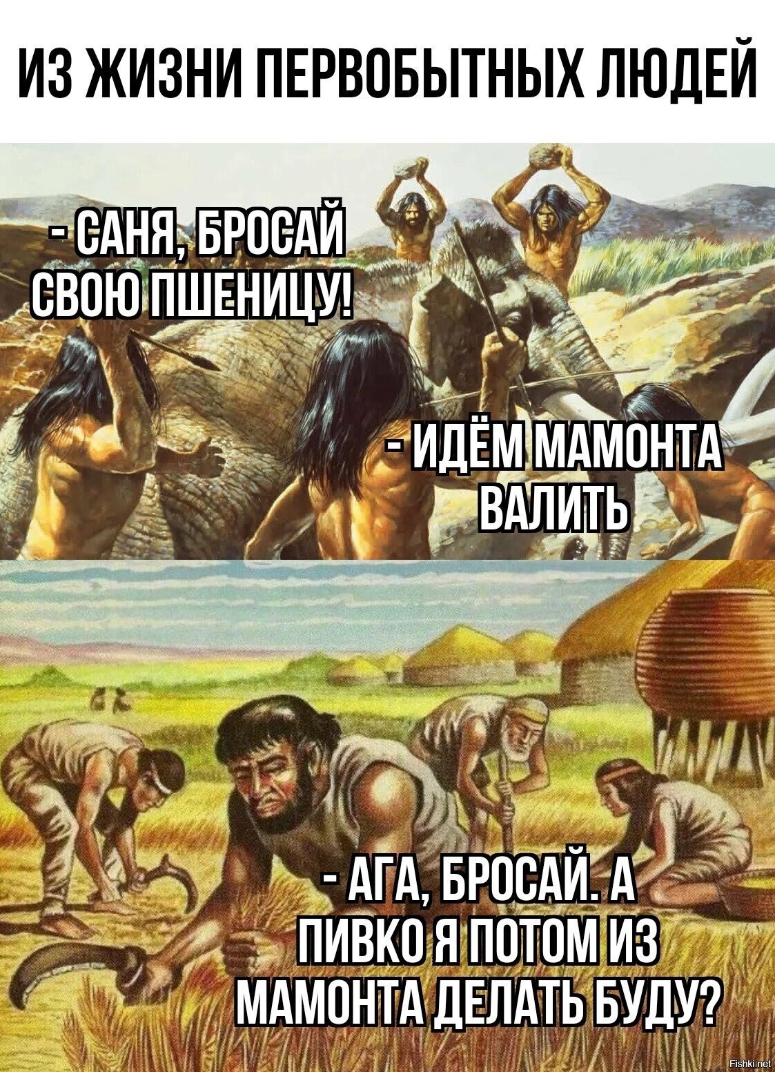 Солянка