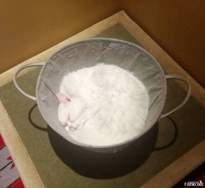 Солянка