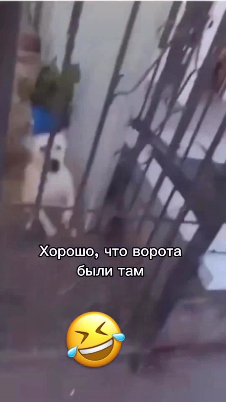 Опасный зверь