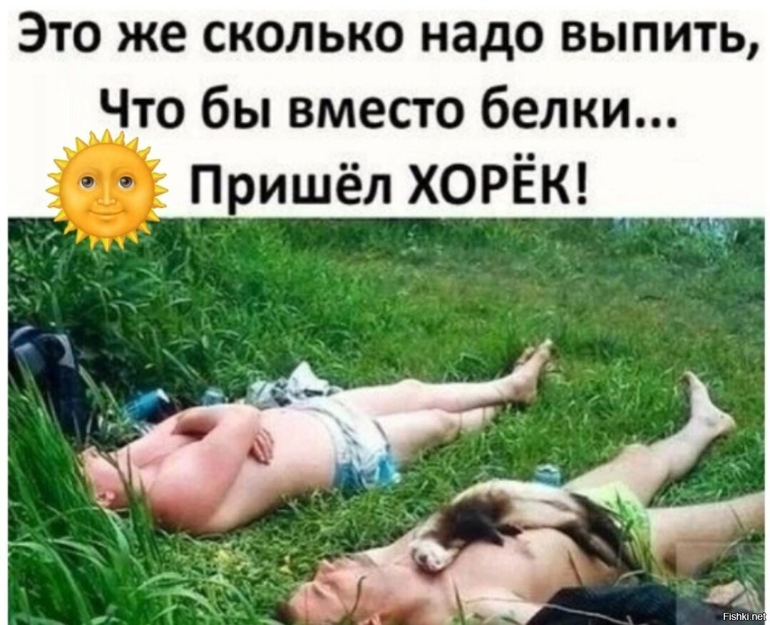 Солянка