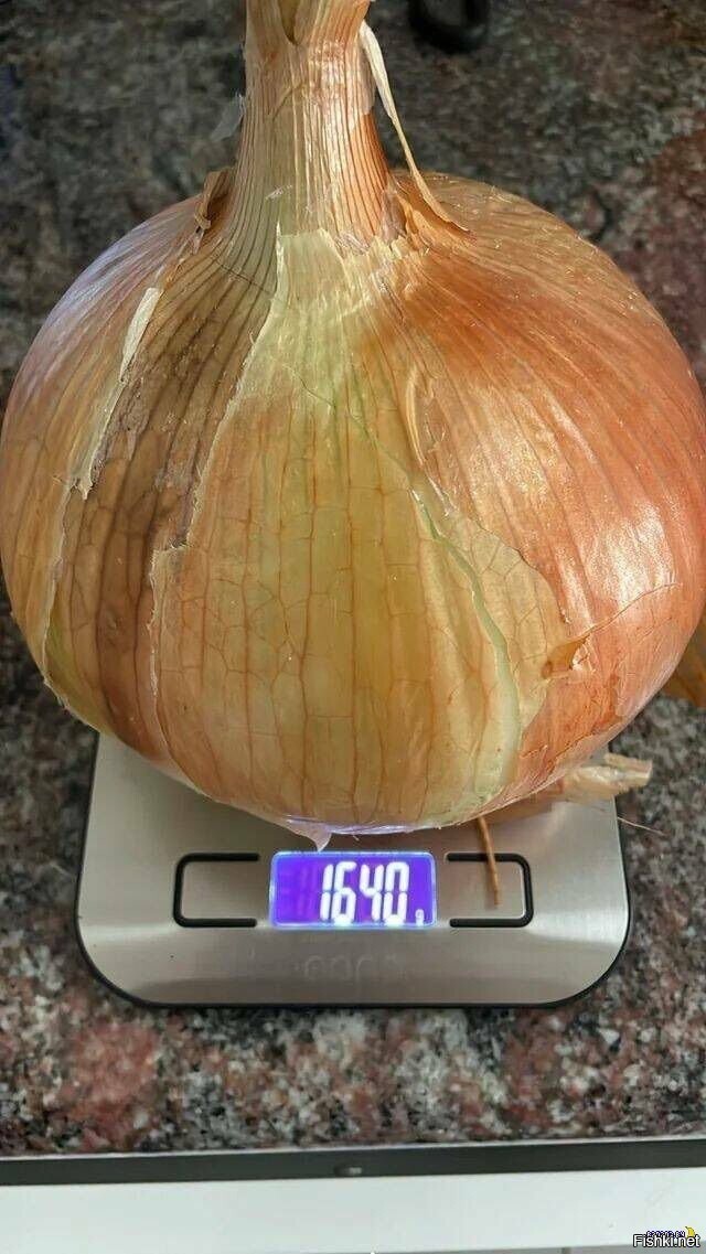 Солянка