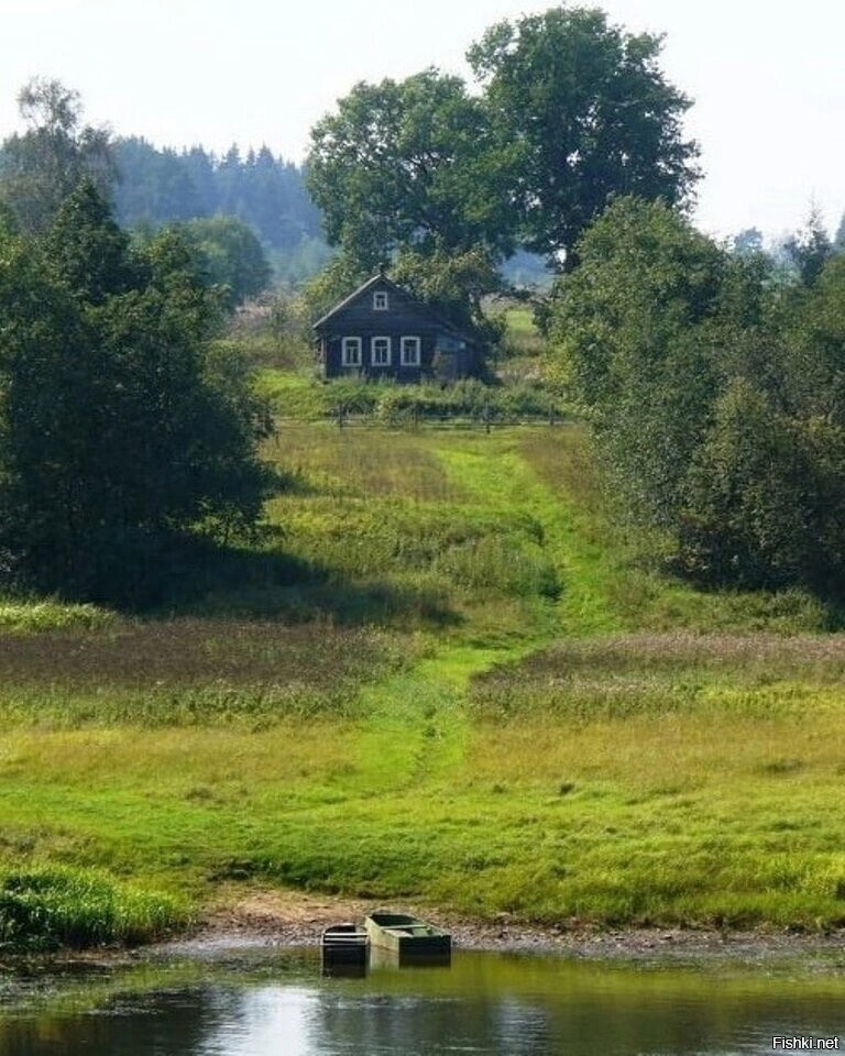 Солянка