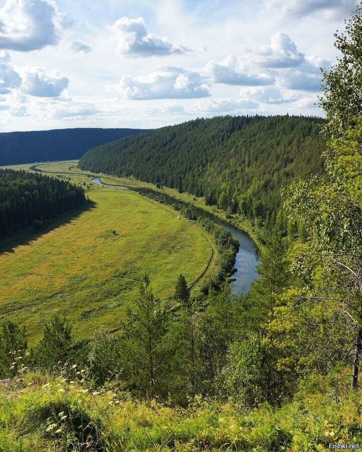 Солянка
