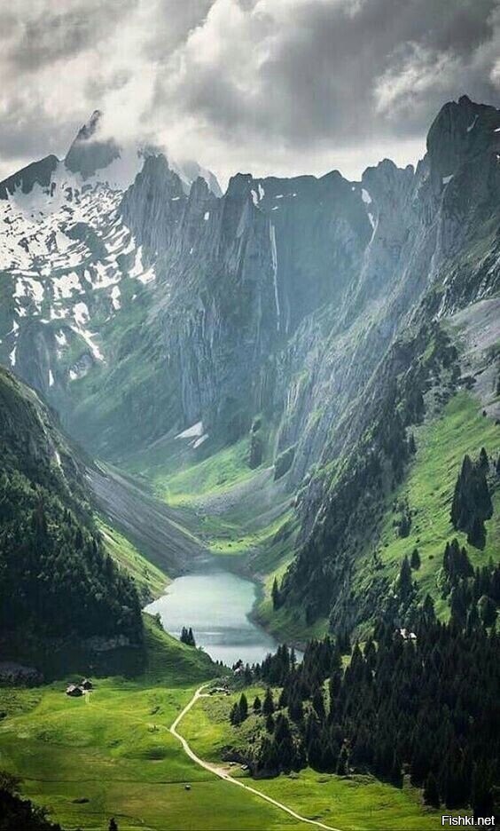 Солянка