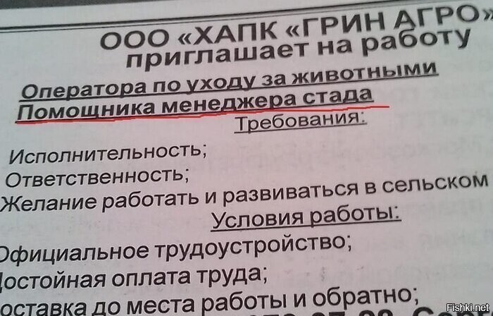 Солянка