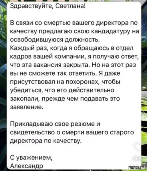 Солянка