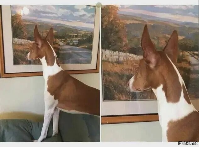  &quot;он думает, то это окно