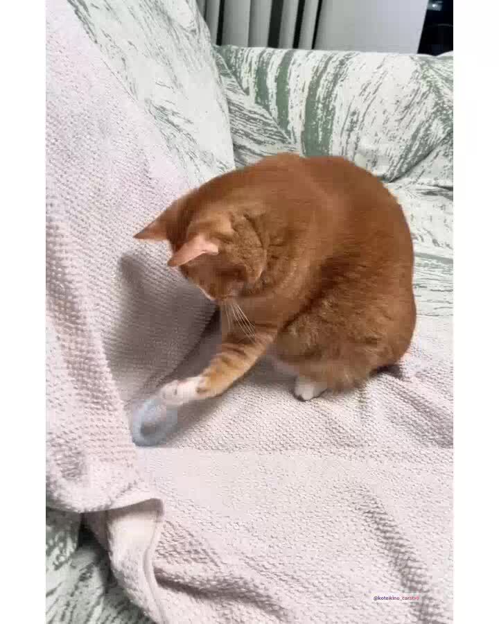 Экспериментирует)