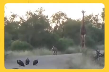 Когда коллеги из разных отделов впервые видят друг друга на корпоративе