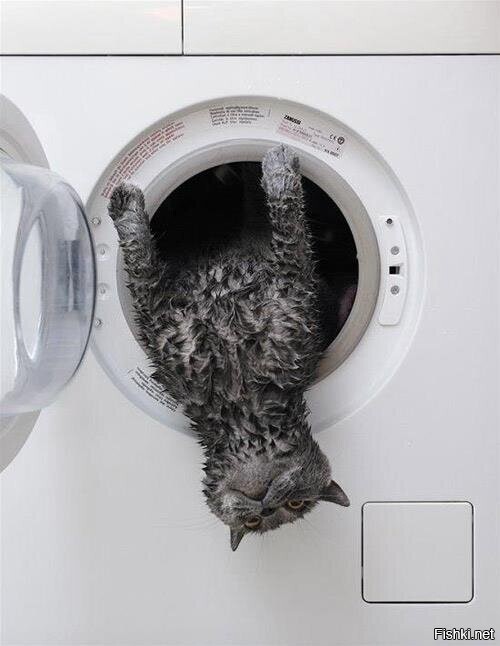 Космонавт