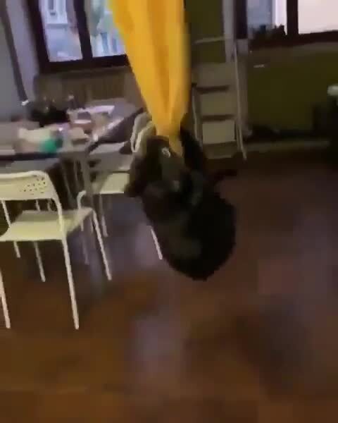 лучше штор