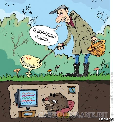 Солянка