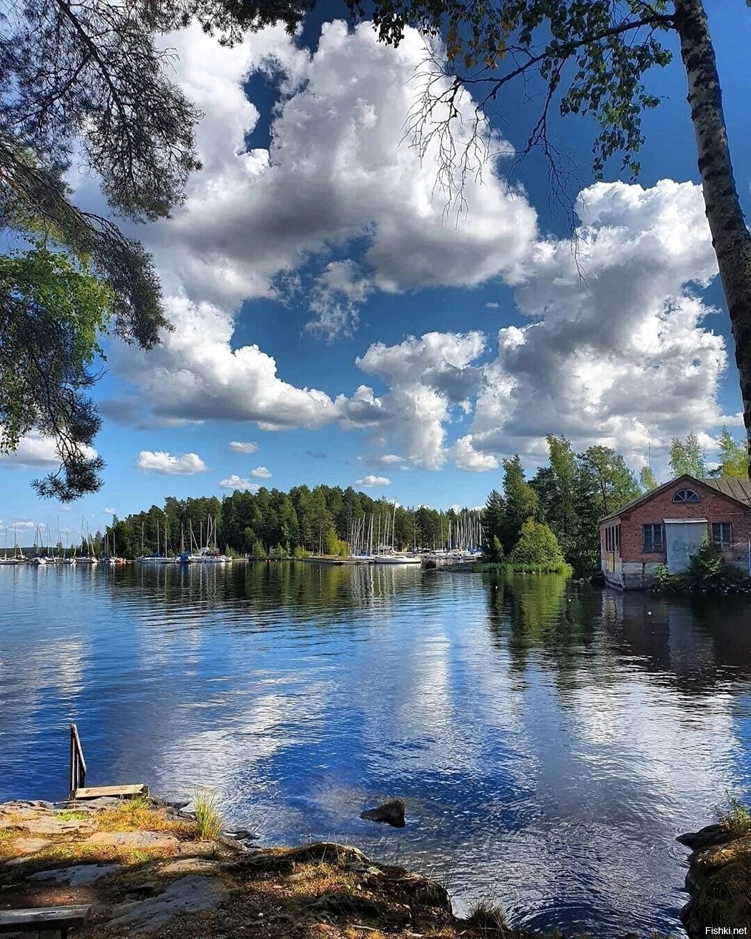 Солянка