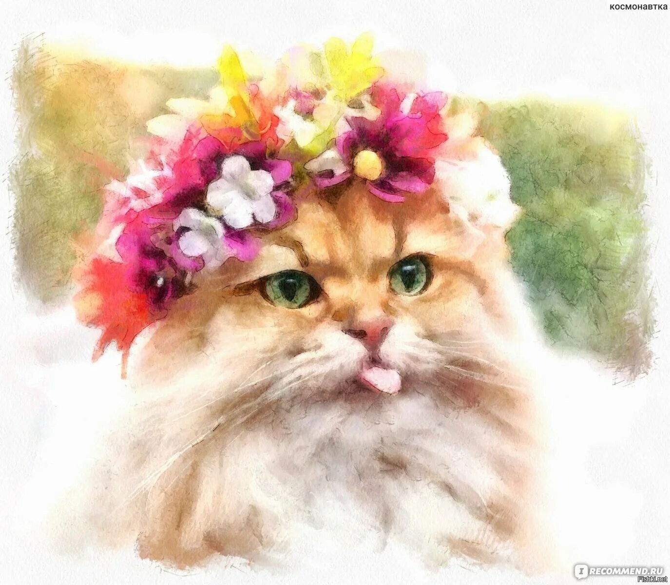 Солянка