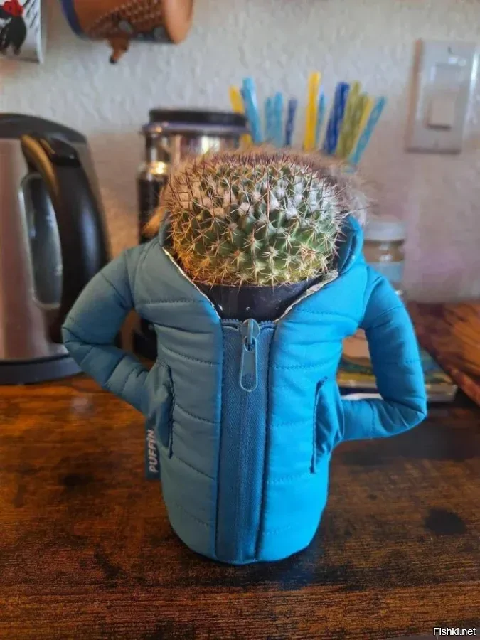 Солянка