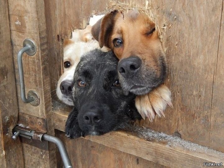А что там снаружи твориться)