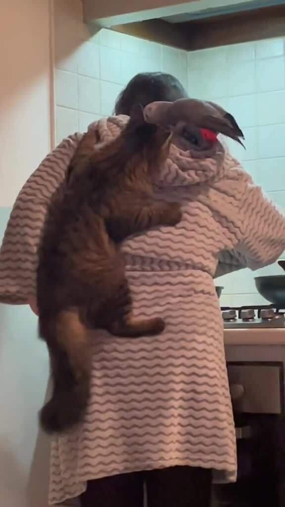 Симбиоз