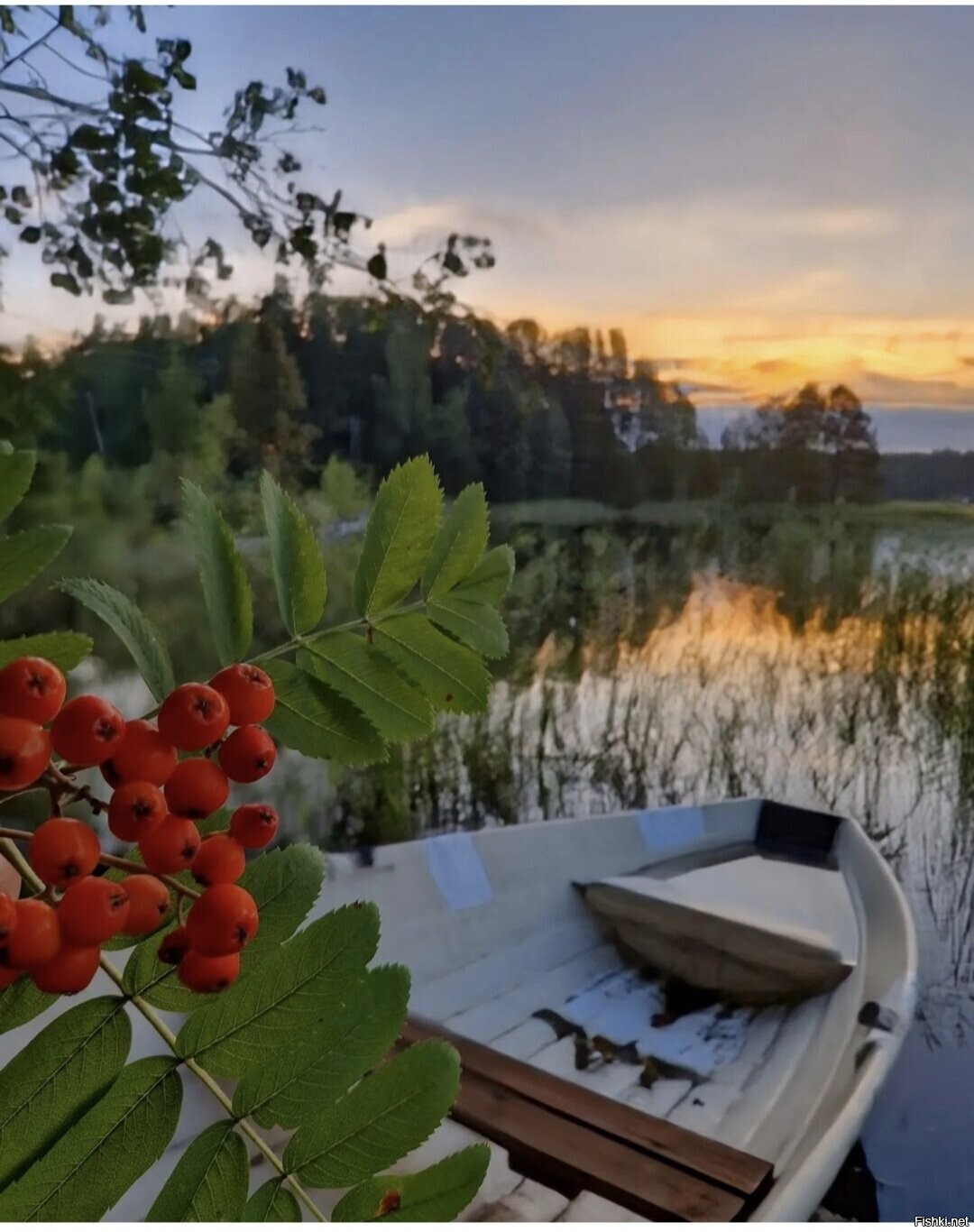 Солянка