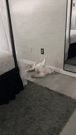 фигурное лежание