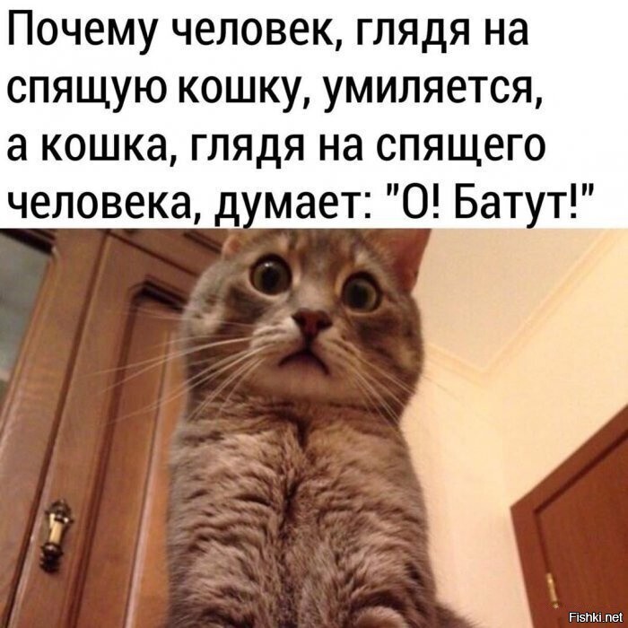 Действительно